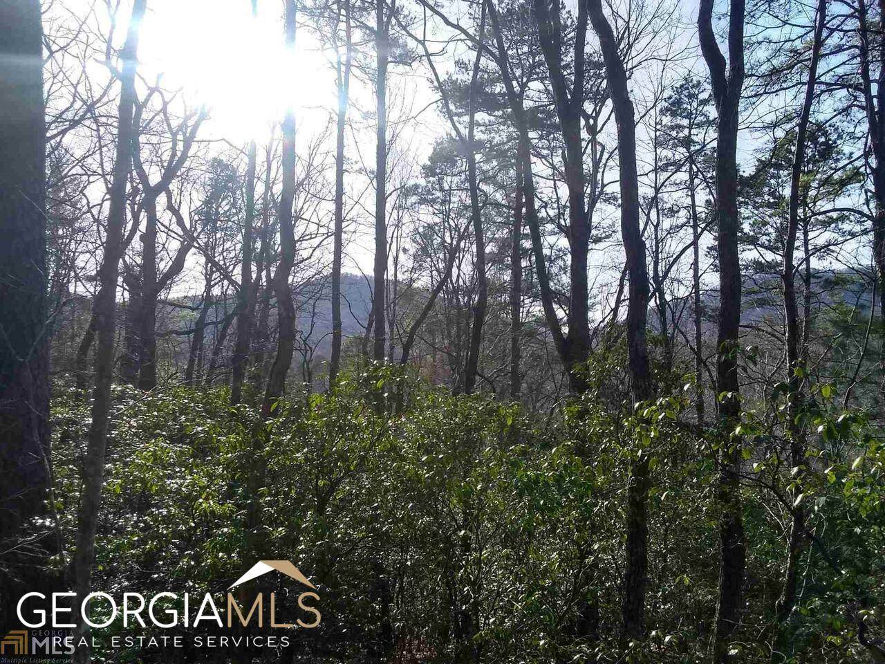 0 Kingwood Drive - Photo 1