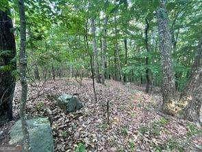 860 Cloudland Trace - Photo 1