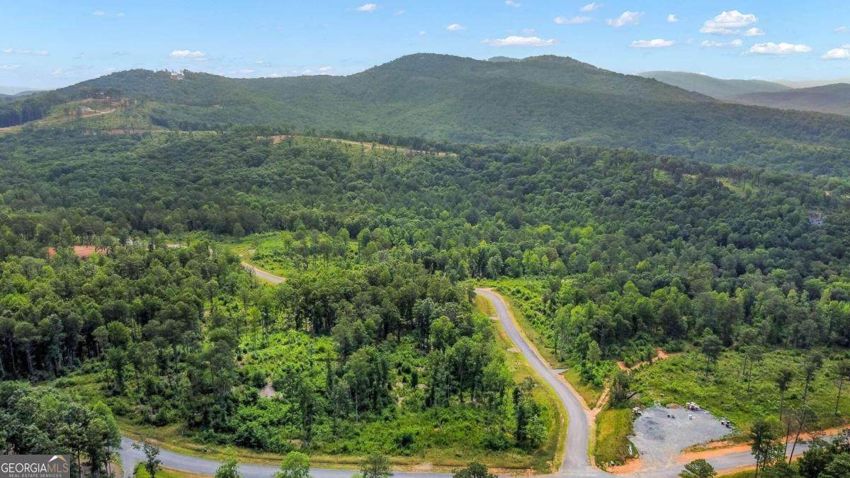 LOT 128 Twisted Oak Road - Photo 1