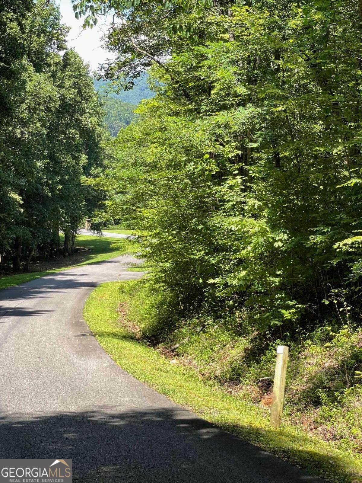 LOT 11 Fodder Creek Mill Drive - Photo 1