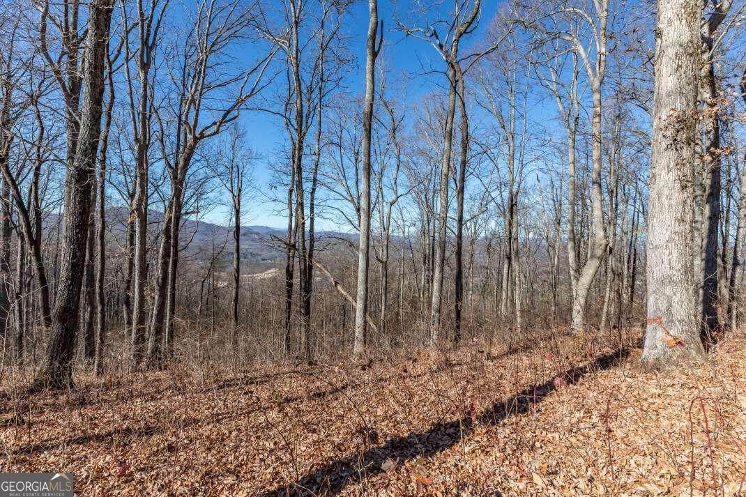 LT 24 Rocky Knob Estates - Photo 1