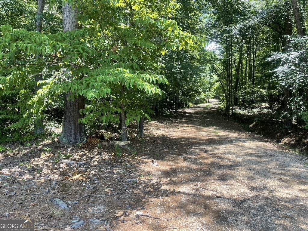0 White Oak Road - Photo 1