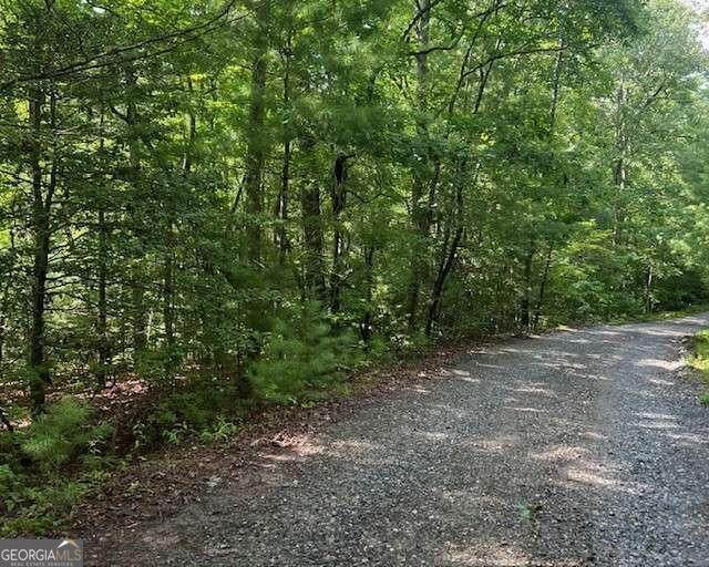 0 Hillbilly Holler - Photo 1