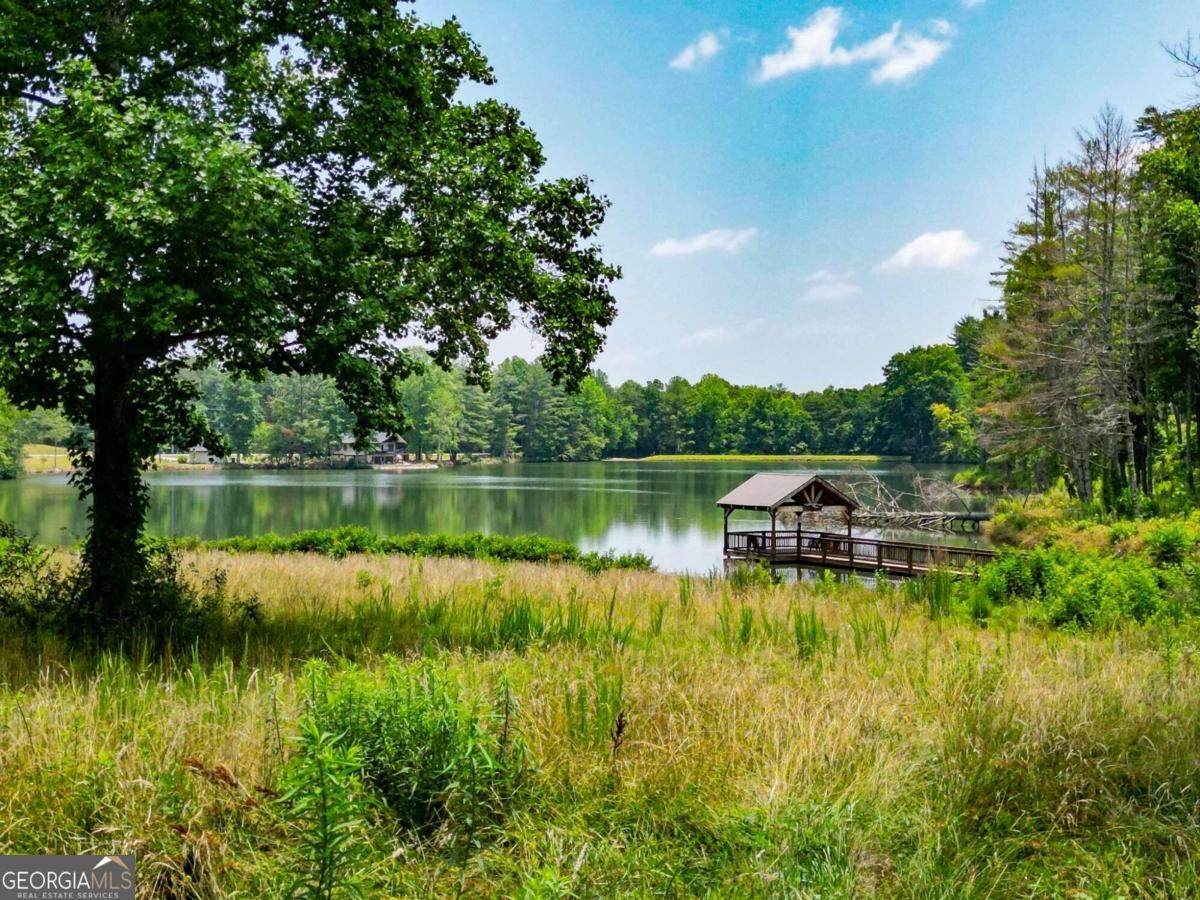 0 Yonah Lake Drive - Photo 1