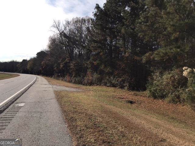 0 Martin Luther King Jr Parkway - Photo 1