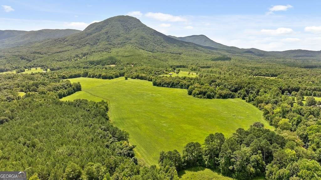 0 Tom Terry Road - Photo 1