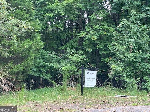 0 Cleveland Highway - Photo 1