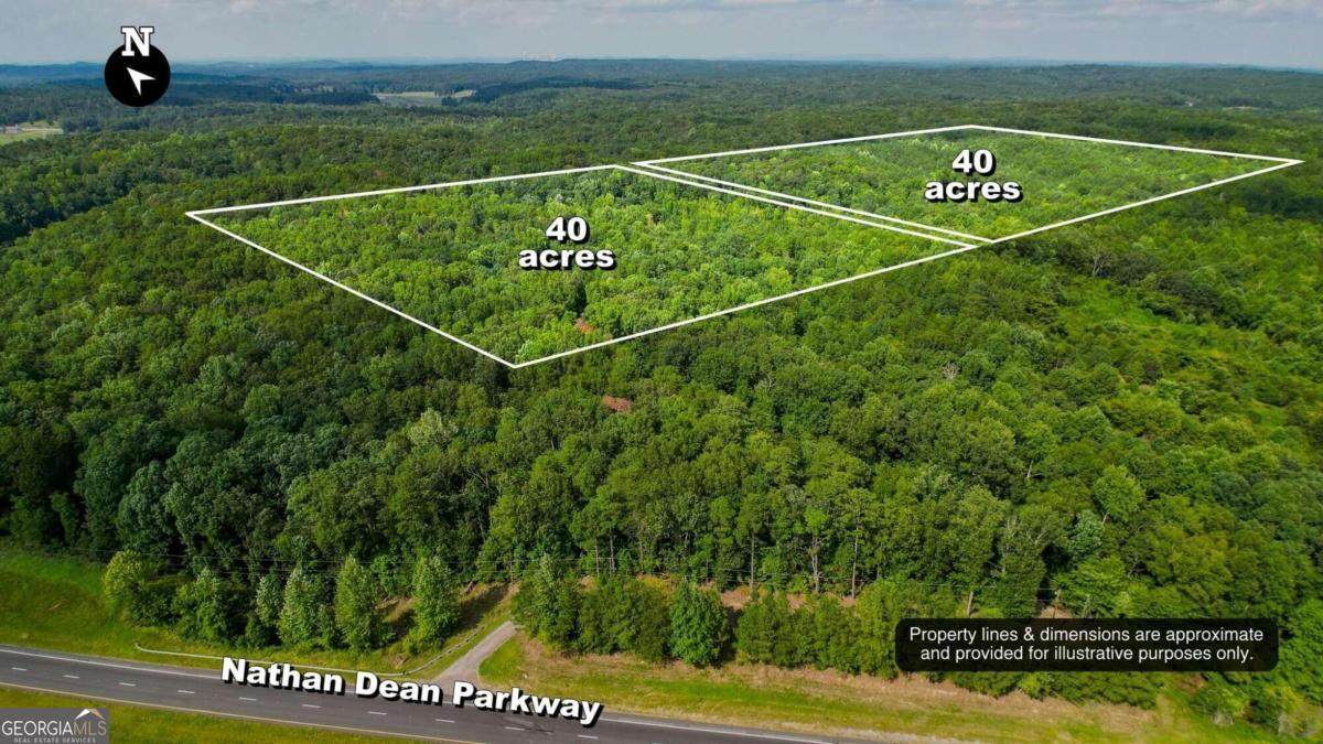 0 Nathan Dean Parkway - Photo 1