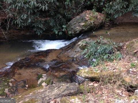 0 Wolf Howl Trail - Photo 1