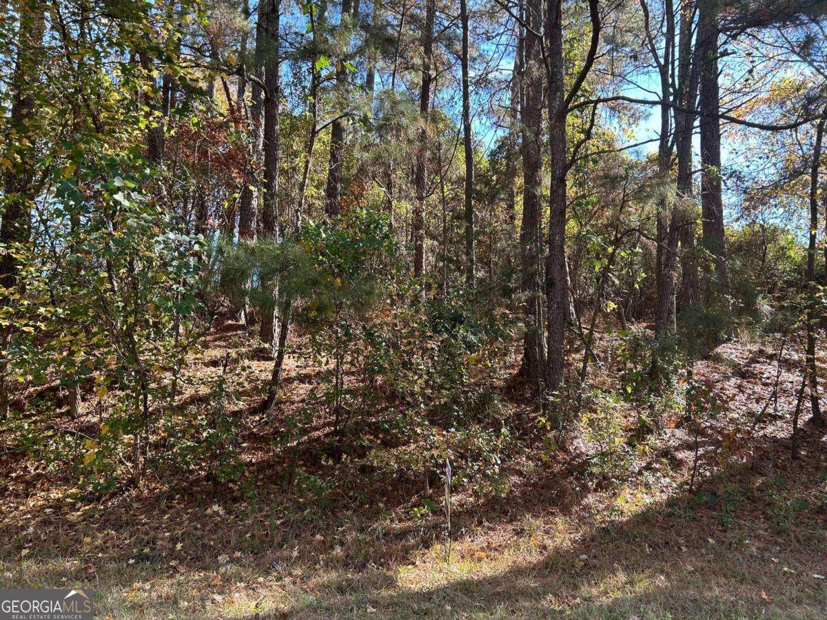 2090 Lee Peters Road - Photo 1