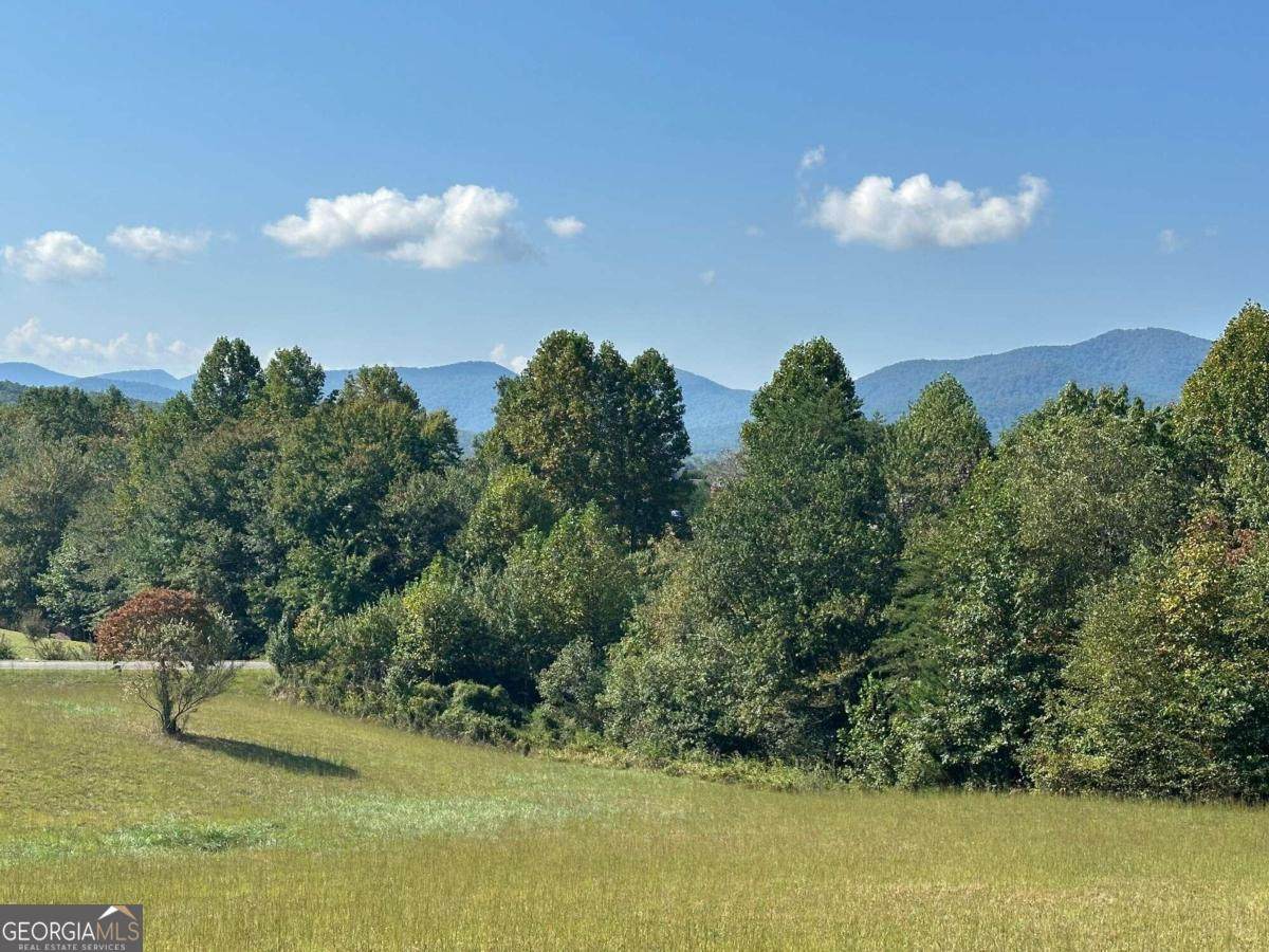 LOT 51 The Preserve At Crooked Creek - Photo 1