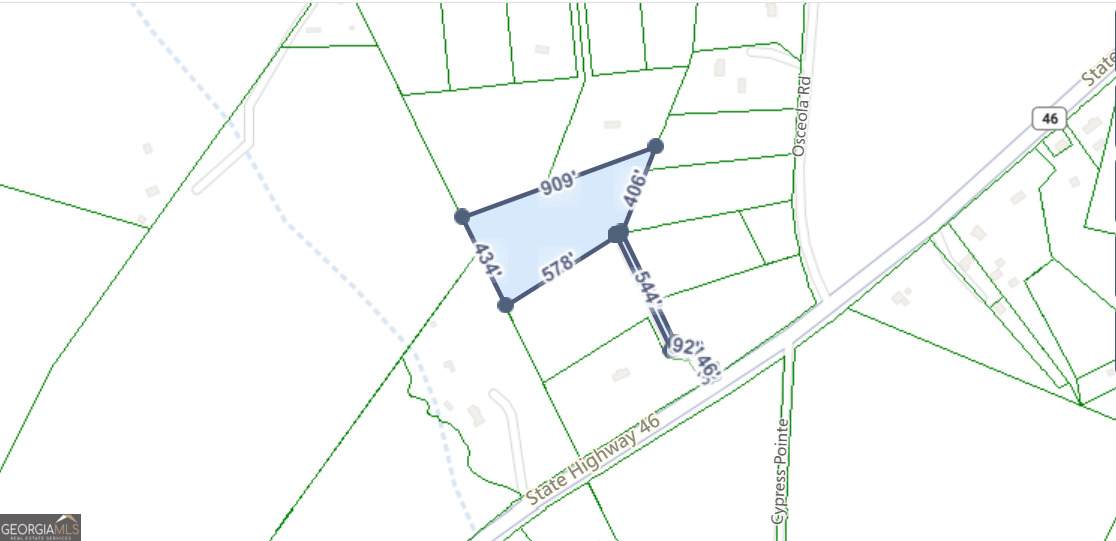 46 Ga Highway 46 - Photo 1