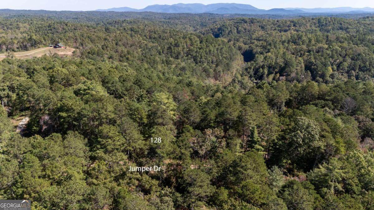 0 Jumper Drive - Photo 1