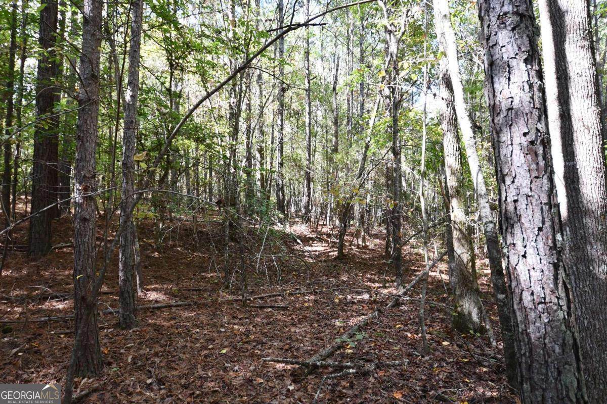 00001 Poplar Springs Road - Photo 1