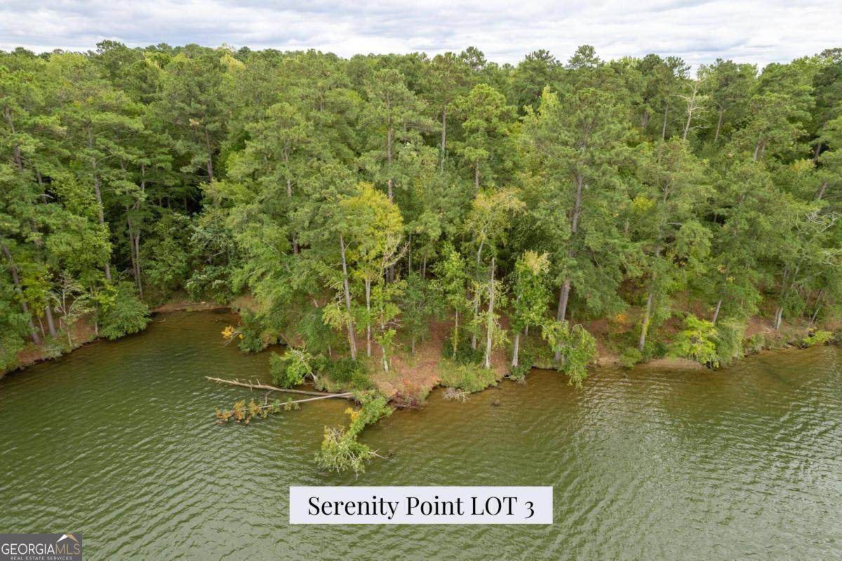 LOT 3 Serenity Point - Photo 1