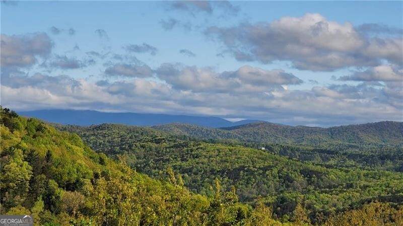 1012 Wild Turkey Bluff - Photo 1