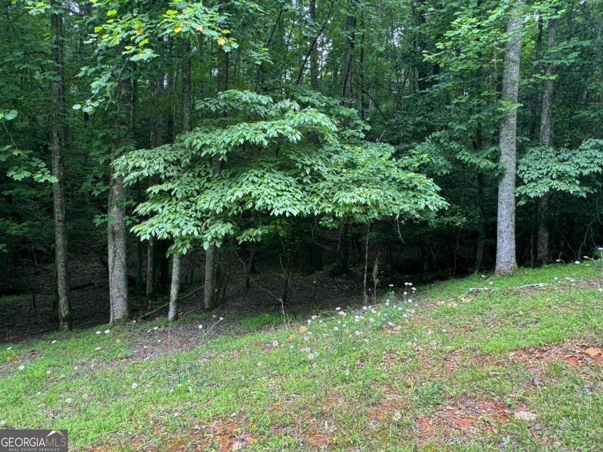 LOT 1721 Newport Drive - Photo 1