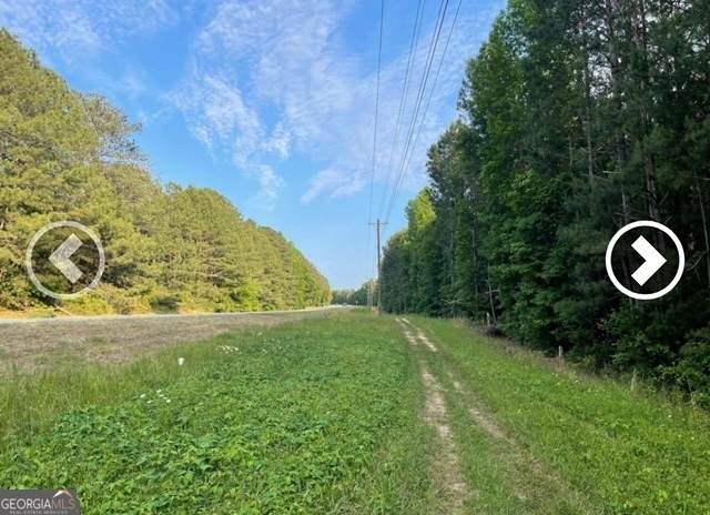 0 Pickett Bridge Road - Photo 1