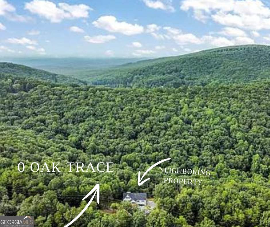 0 Oak Trace - Photo 1