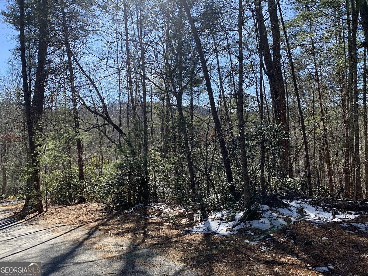 0 Pinecrest Road - Photo 1