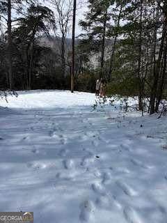 18N Bear Paw Road - Photo 1