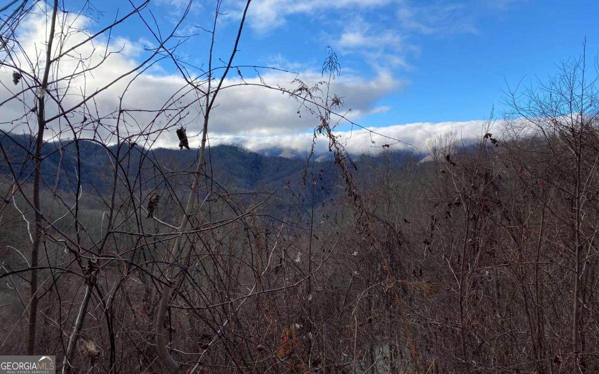 J-2 Georgianna Lane - Photo 1