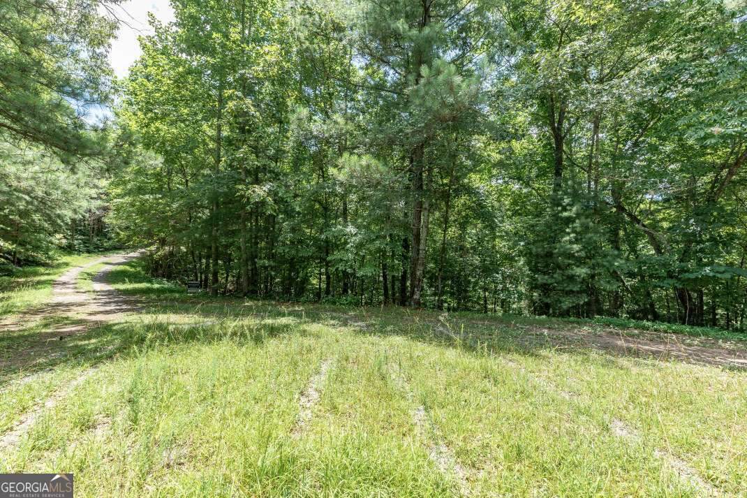 LOT 1687 Shade Tree Drive - Photo 1