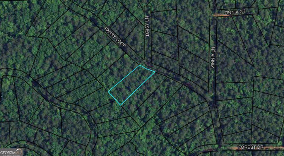 BLK 79 LOT 07 Pansy Loop - Photo 1