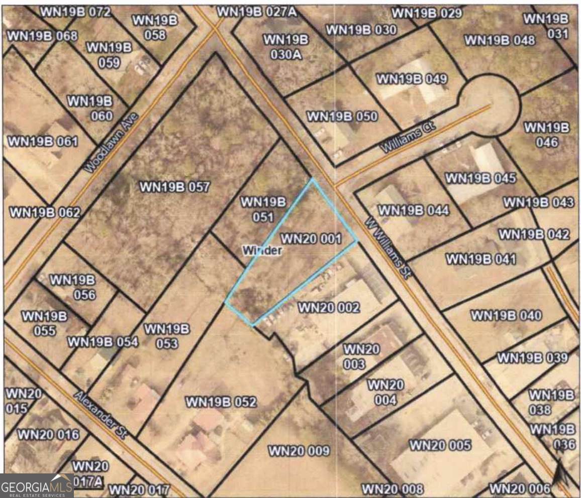 0 Williams West Street - Photo 1