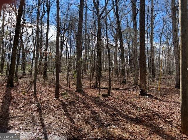 3871 Martin Drive - Photo 1