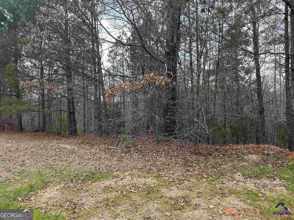 322 Wilsons Creek Bend - Photo 1