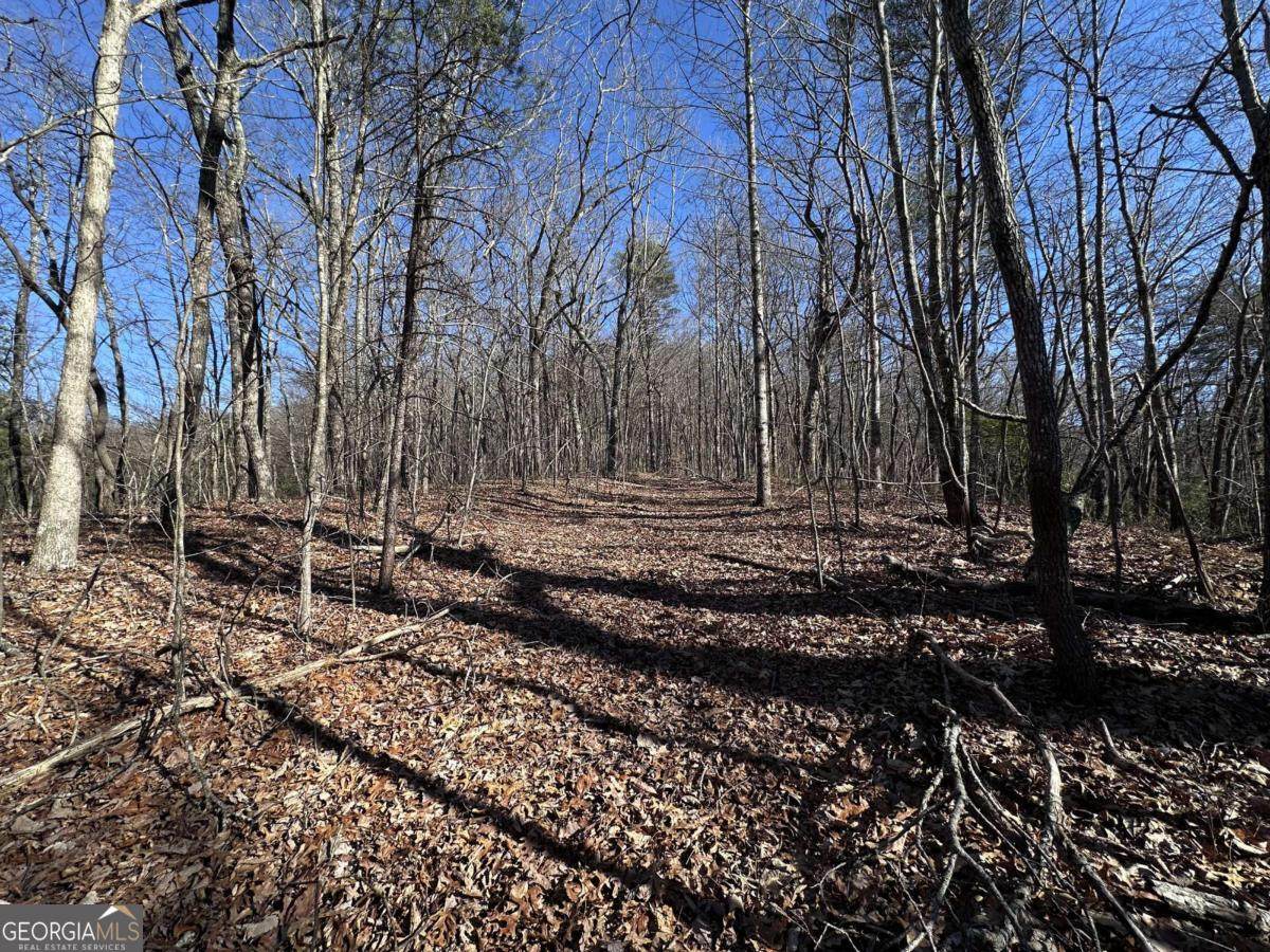 57 St Andrews Way - Photo 1