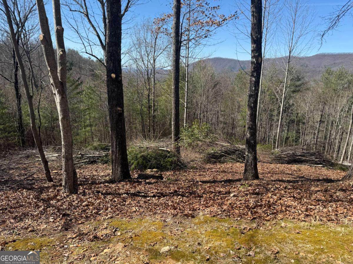 LOT 56 Fires Creek Cove Road - Photo 1