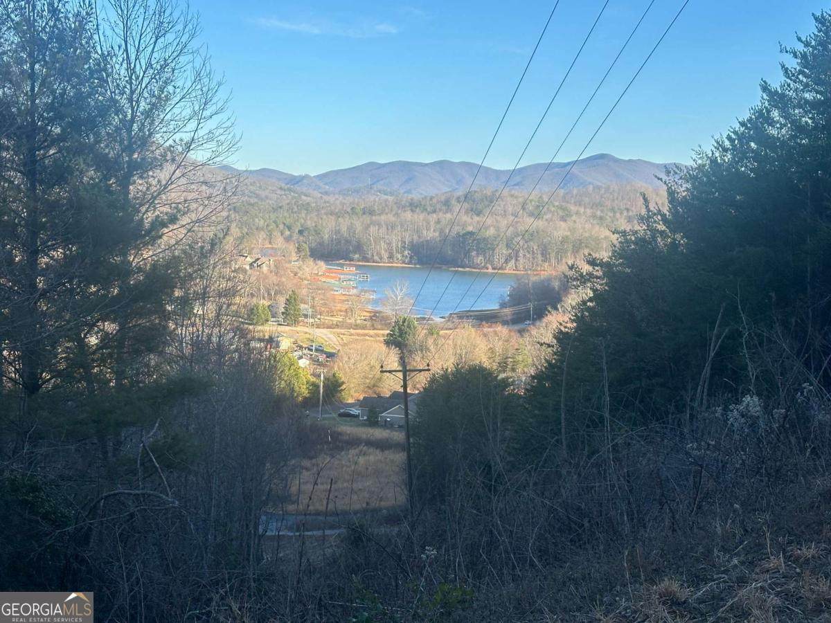 LOT 40 Overlook Trail - Photo 1