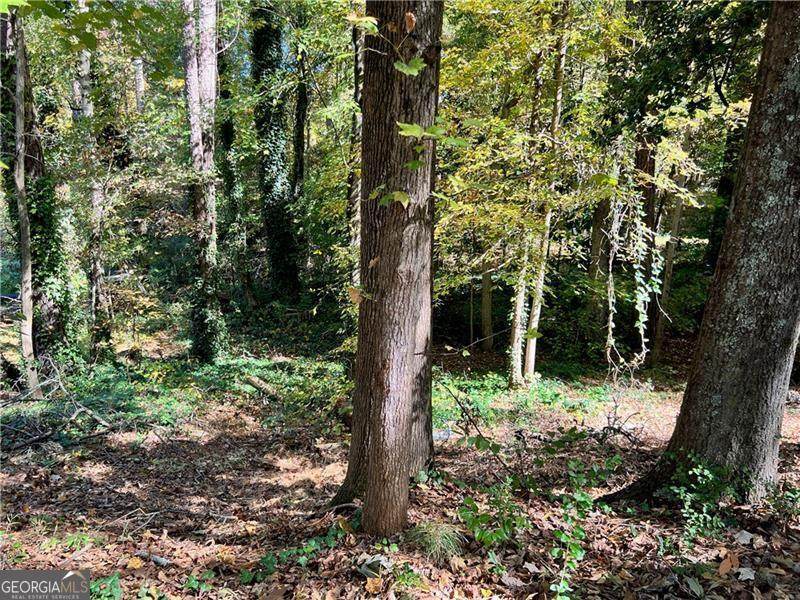 0 Randolph Circle - Photo 1