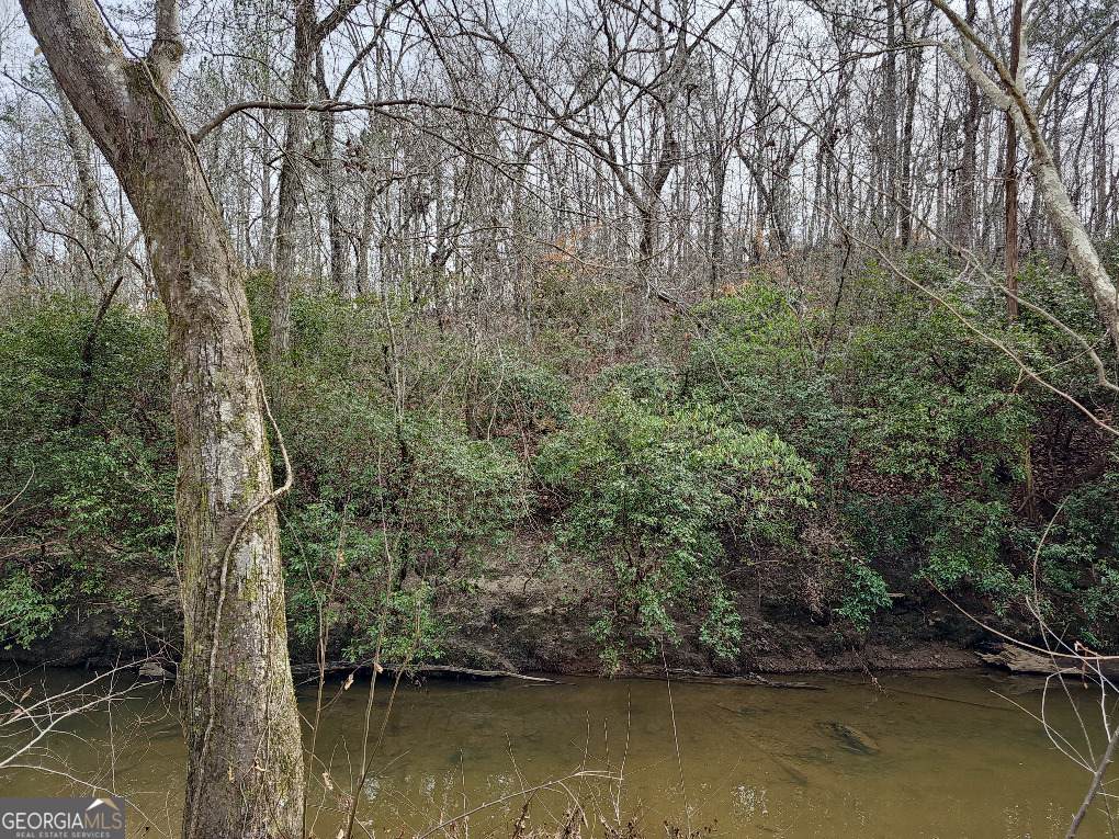 0 Hutcheson Rd Off - Photo 1