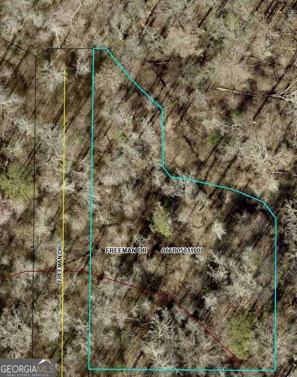 0 Freeman Drive - Photo 1