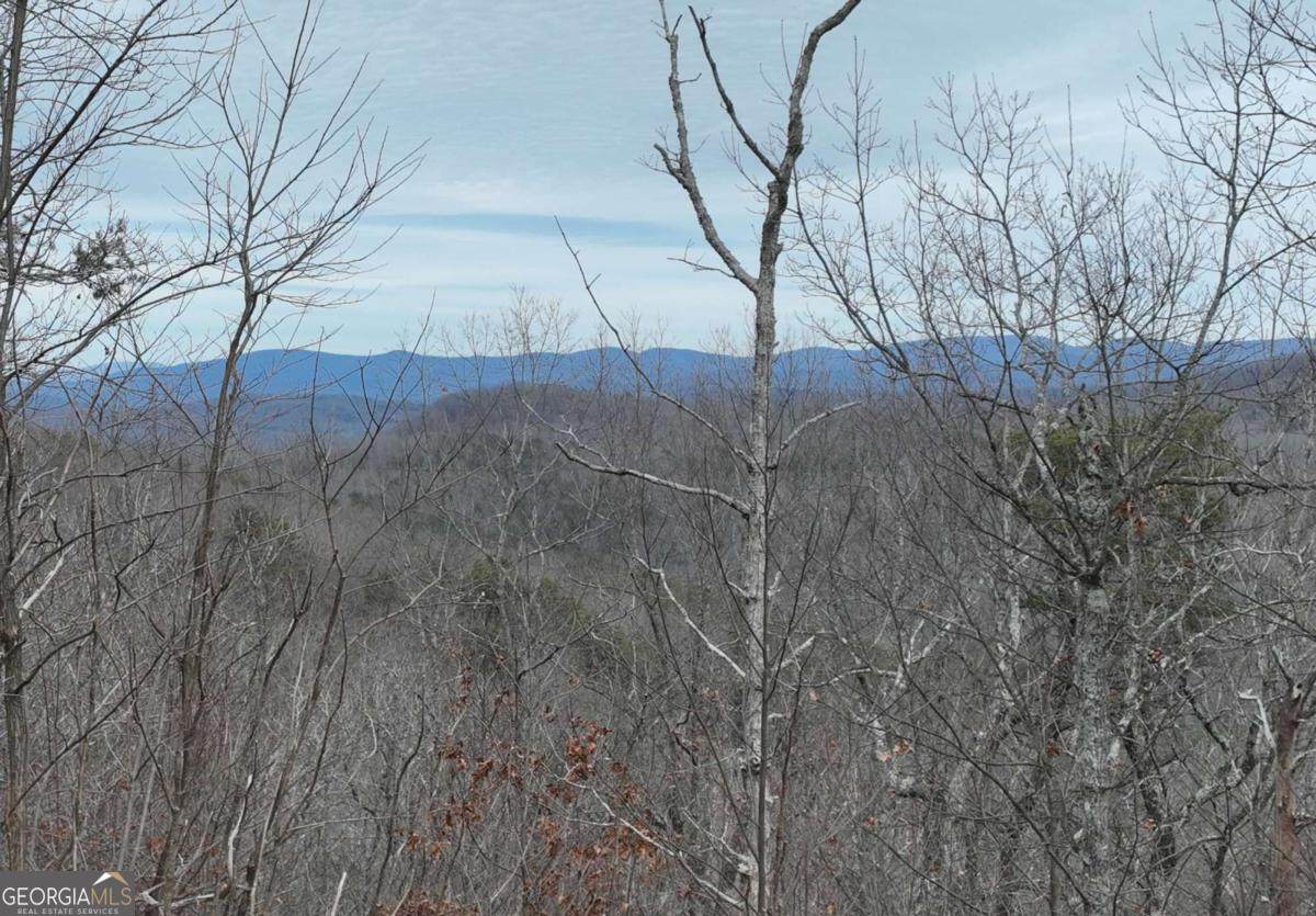 235 Andes Ridge Drive - Photo 1