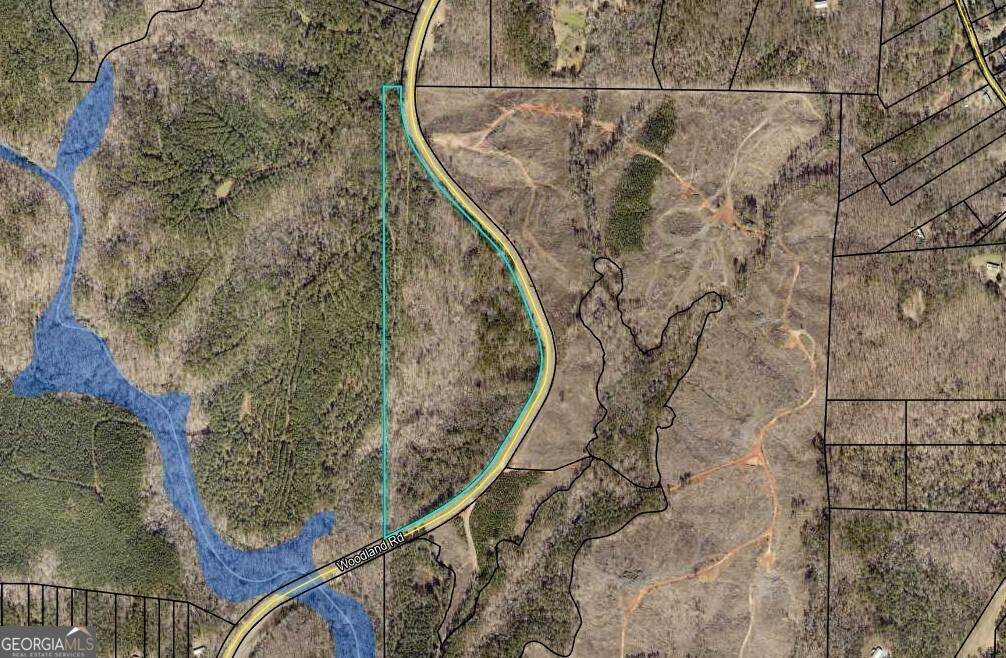 0 Woodland Road - Photo 1