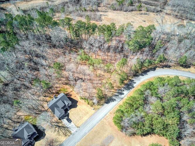 263 Principal Meridian Drive - Photo 1