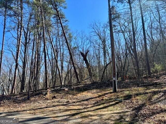 125 Gum Wood Court - Photo 1