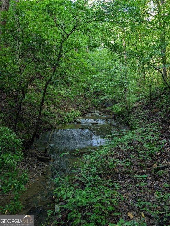 772 Naomi Court - Photo 1