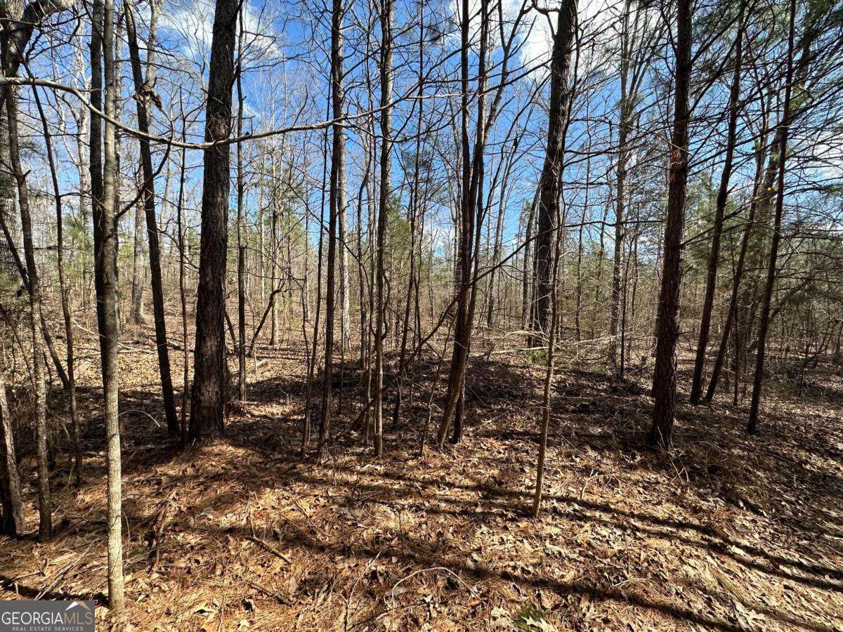 0 Rocky Point Road - Photo 1