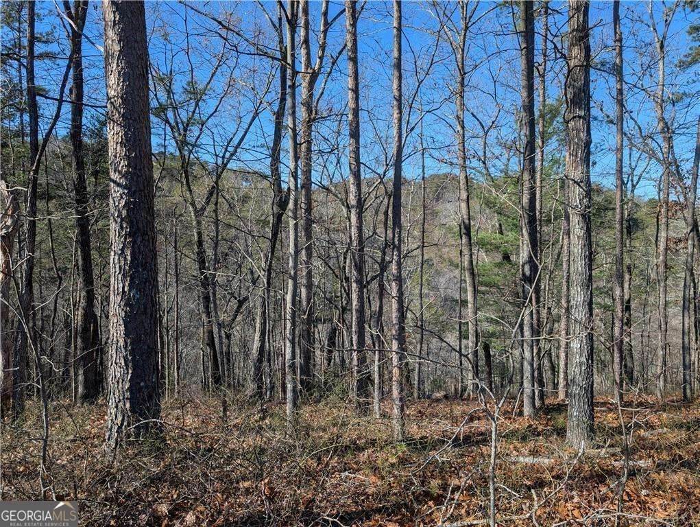 1400 Foxhound Trail - Photo 1