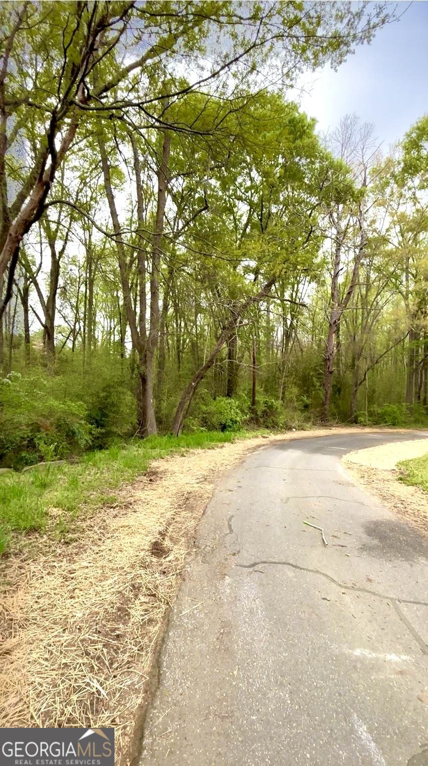 165/175/195 Sycamore Lane - Photo 1