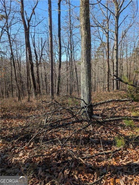 1422 Hanna Drive - Photo 1