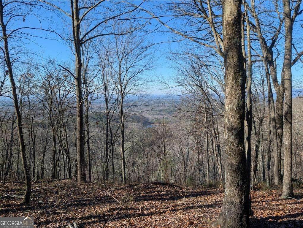 234 Stirratt Road - Photo 1