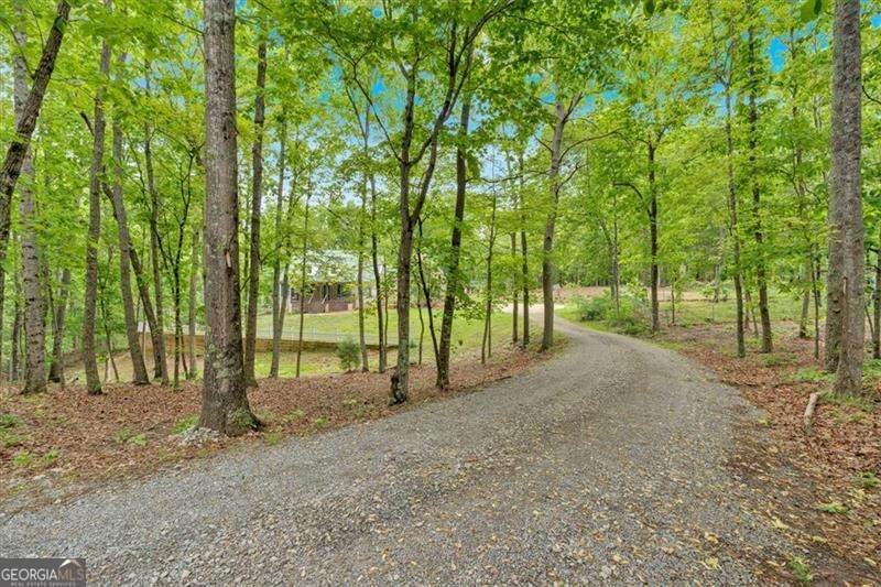 4332 Brushy Mountain Road - Photo 1