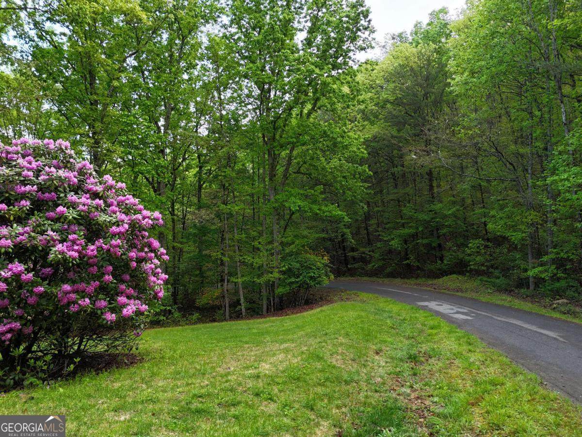 L93 - 95 Timberline - Photo 1