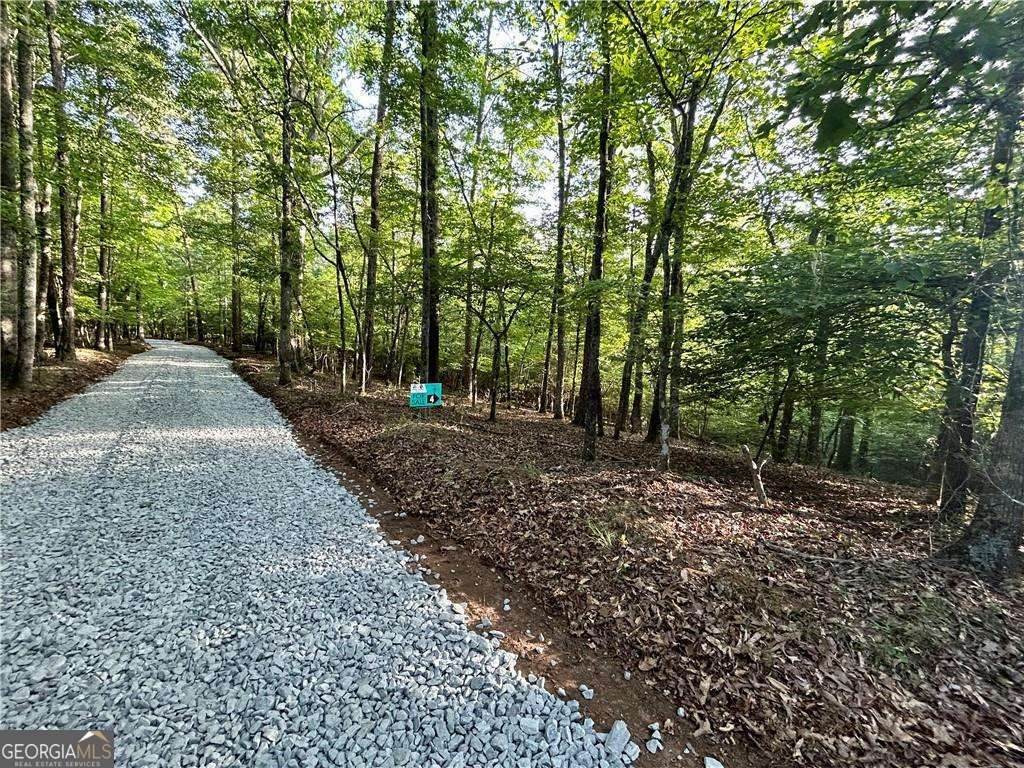 03 Kate Road - Photo 1